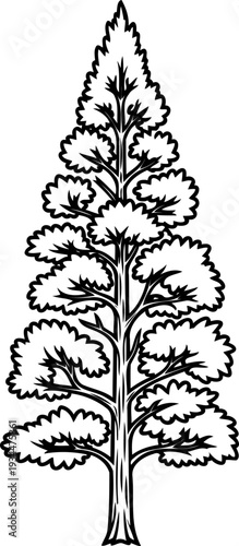 Stylized coniferous evergreen tree with layered pine needles illustration
