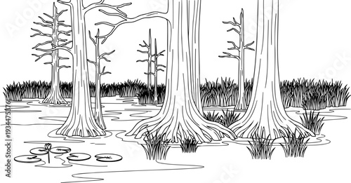 Swamp landscape with cypress trees lily pads and wetland reeds