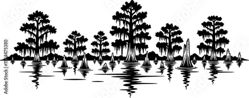 Swamp cypress forest silhouette with reflections in water