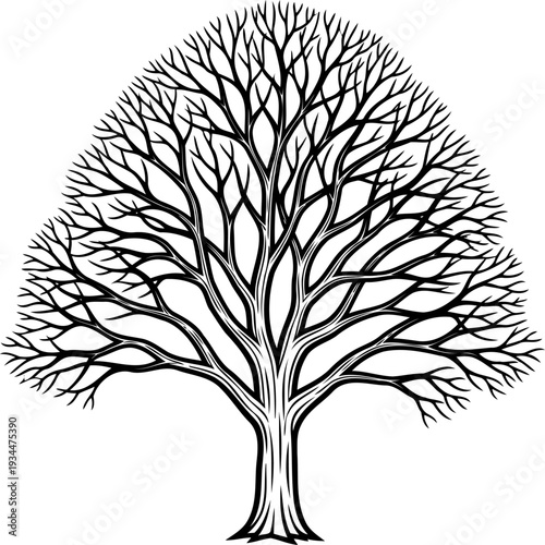 Symmetrical bare tree with intricate branch network line art