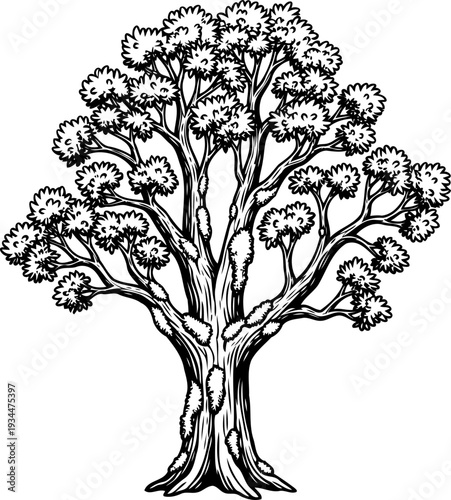 Textured tree trunk with small foliage patches and spreading limbs