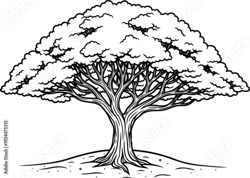 Wide spreading canopy tree growing on a grassy mound