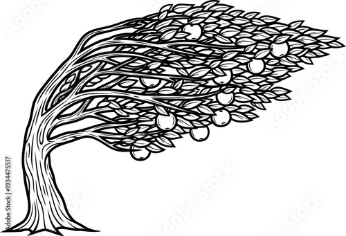 Windblown apple tree bending under strong gale force