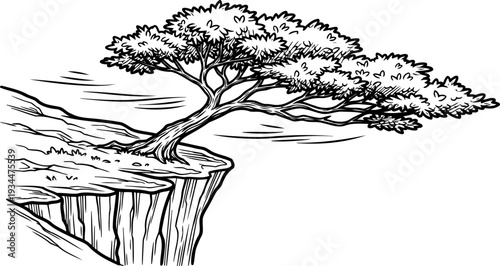 Wind-swept bonsai style tree clinging to the edge of a steep cliff