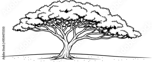 Wide canopy savanna tree on flat horizon line art