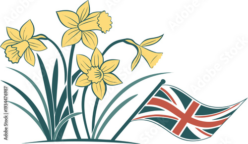 Yellow Daffodils and British Flag union jack flowers spring