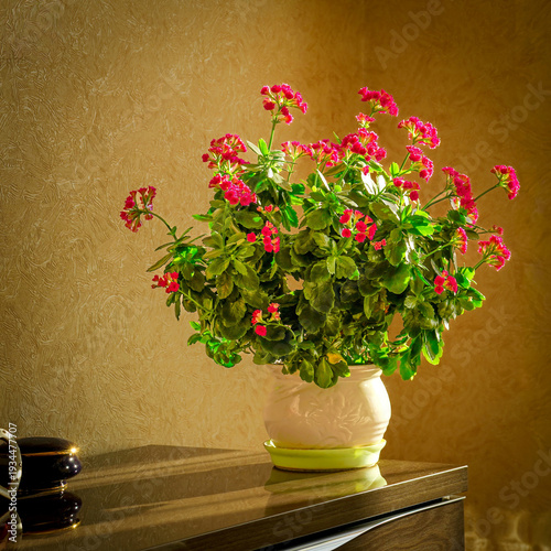 Vibrant Blooming Houseplant Kalanchoe
