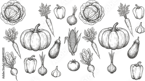 Hand Drawn Farm Fresh Vegetables Collection with Pumpkin Cabbage Carrot Corn Eggplant Pepper Onion Garlic Vintage Engraving Illustration Set
