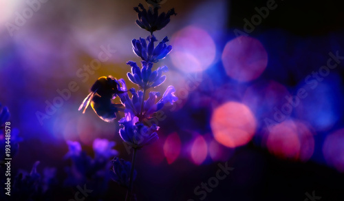A cute bee. A natural, aesthetically pleasing background.