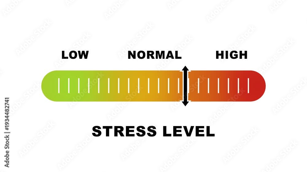 Vidéo Stock Stress level indicator scale. Low normal & high meter ...