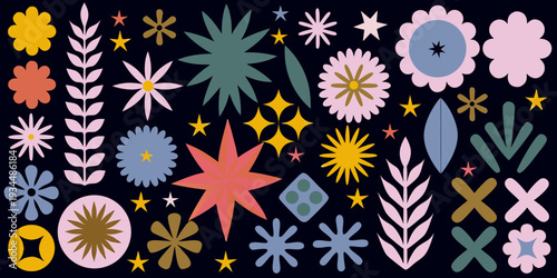 A colorful collection of stylized floral and star shaped botanical elements