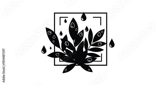 A minimalist design showcasing a black floral arrangement and water droplets within a square frame silhouette high quality