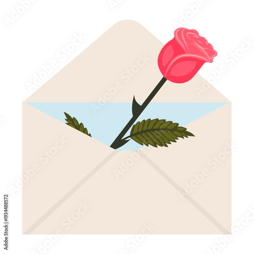 Bright pink rose. A single elegant rose in a mailing envelope. Vector illustration on a white background.