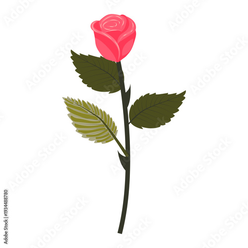 Bright pink rose. Cute flower on a slightly inclined stem. Vector illustration isolated on a white background.