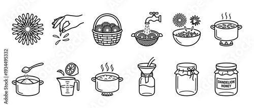 Dandelion honey recipe icon set shows step-by-step instructions for making a vegan, plant-based floral syrup from foraged flowers, presented as a minimalist black and white infographic