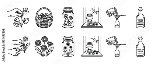 Set of black line art icons showing the step-by-step process of making homemade floral vinegar with violets and dandelions, from foraging and infusing to bottling the final product