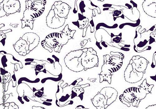 Funny hand drawn doodle lettering quote about  pet lovers. Lettering for t-shirt design, mug print, bag print, clothes fashion. 100% hand drawn vector image.