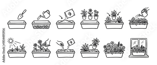 Hand-drawn gardening instruction icons showing planting steps from seeding and watering to growing beautiful flowers in a long planter box, a complete visual guide