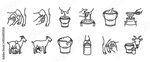 Set of black line art icons illustrating the goat milking process, from washing the udder and hand milking into a bucket to straining and storing fresh dairy milk