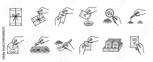 Line art icons illustrating various seed handling and planting activities, including opening packets, pouring, examining, and preparing for gardening, presented in a clean