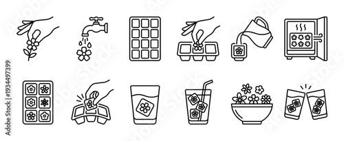 Step-by-step process of making flower ice cubes is depicted in this clean line art icon set, showing preparation, freezing, and serving of the decorative floral treats