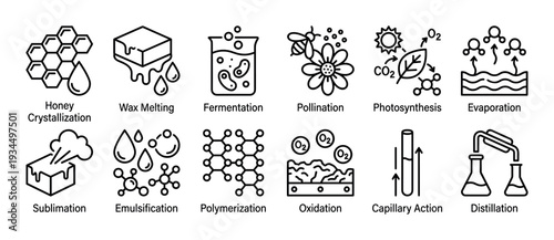 Twelve minimalist line icons illustrate various scientific and natural processes, including crystallization, melting, fermentation, and photosynthesis, depicted with clear, simple graphics