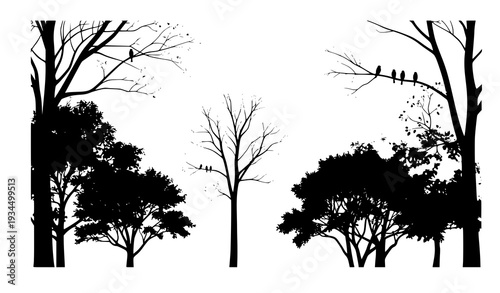 Create a creative woodland-inspired vector artwork featuring diverse tree silhouettes with intricate canopy shapes and abstract botanical styling. Include perched birds integrated naturally into the b