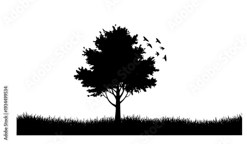 Create a detailed vector illustration of diverse tree silhouettes forming a decorative forest composition. Include varied canopy shapes, abstract botanical patterns, and perched birds resting on branc