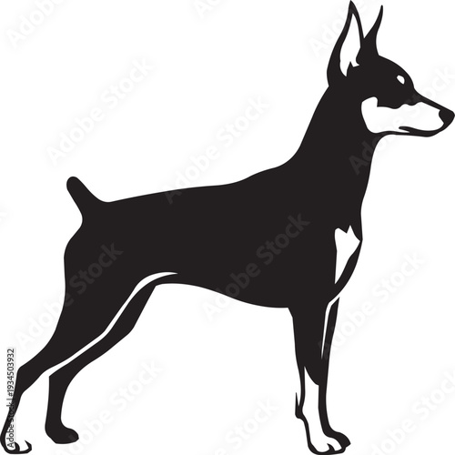 Elegant Doberman Pinscher Dog Silhouette Standing Proudly in Profile Vector Art, Isolated on White