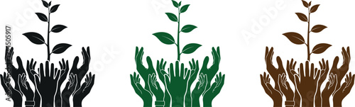 Three plant silhouettes isolated on transparent background with varying colors and leaf details