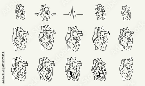 Premium Human Heart Anatomy  Cardiology Icon Pack - 13 Minimalist Line Art Graphics for Cardiac Pathology, Heart Surgery  Medical Science UI Assets