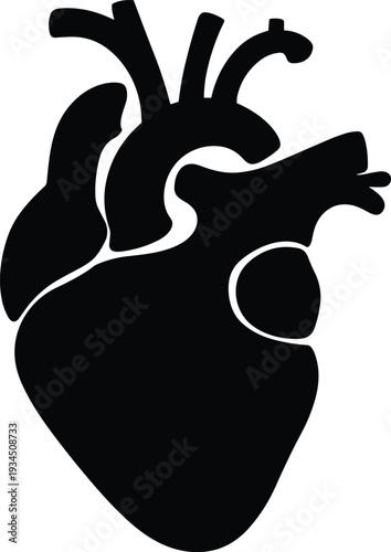 Anatomical human heart silhouette icon for medical health design, human organ flat vector illustration isolated on white, cad drawing illustration