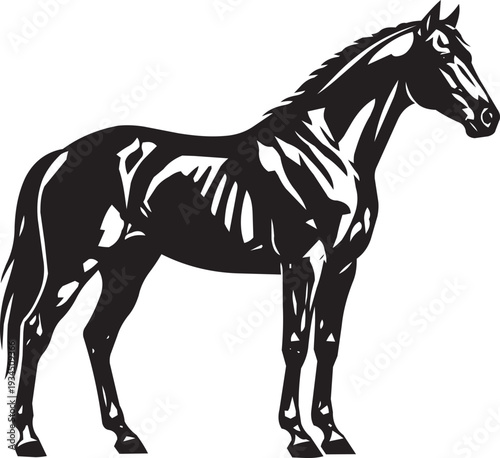 Elegant Horse Silhouette: Powerful Equine Profile in Black and White