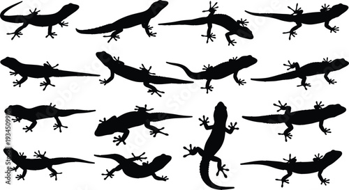 Black lizard and gecko silhouette collection featuring various poses for nature wildlife reptiles and lizard species identification concepts