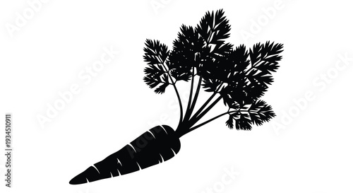 A striking black silhouette depicts a freshly harvested carrot with full leafy greens emphasizing its natural form silhouette