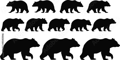 Silhouette collection of brown bear walking in different poses isolated on white background, wild animal side view set for wildlife design