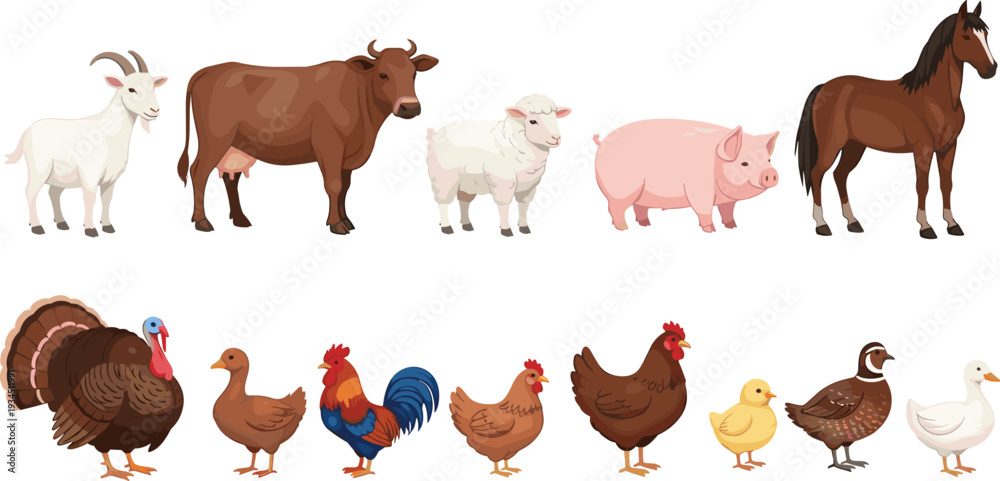 Fototapeta premium Collection of Farm Animals Including Goat, Cow, Sheep, Pig, Horse, Chicken, and Rooster in Various Poses
