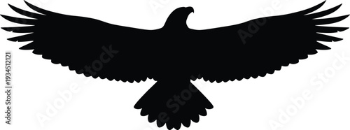 WebEagle Silhouette Vector with Spread Wings, Majestic Bird of Prey Isolated on White Background for Wildlife Illustration and Graphic Design Projects