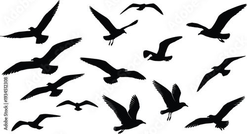 WebLarge collection of black silhouettes featuring seagulls flying, children playing with toys, and diverse woman profiles with natural hairstyles, vector.