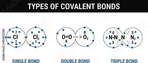 Types of covalent bonds diagram showing single double and triple molecular bonds for chlorine oxygen and nitrogen chemistry