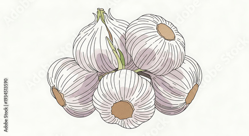A vector illustration of a bunch of garlic bulbs with a minimalist design