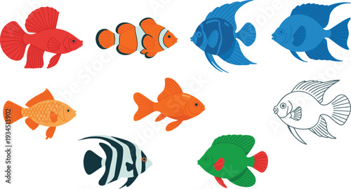 Tropical aquarium fish vector set, colorful flat marine species illustration isolated on white background collection