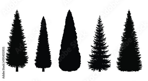A collection of five coniferous trees depicted in stark black shapes against a white background silhouette