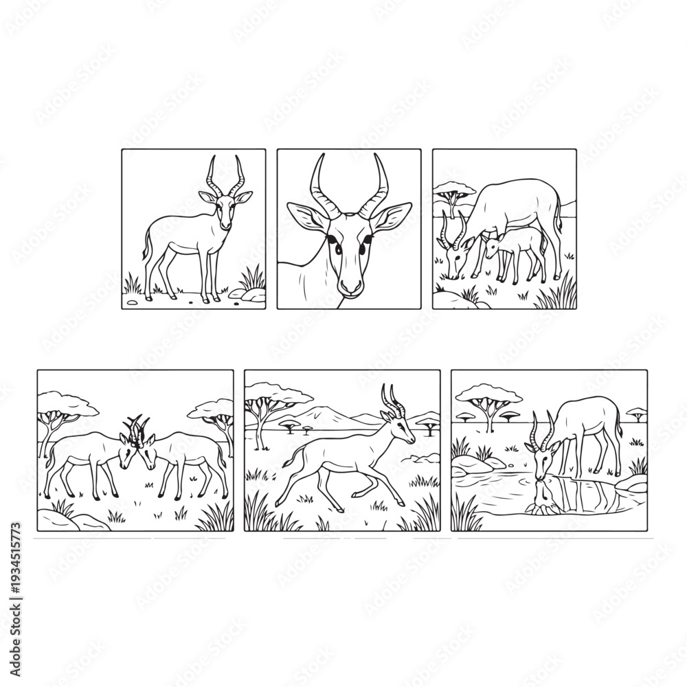 Fototapeta premium Animals Coloring Page Designs Black and White animal Illustration Outline Illustrations Collection Animals Clipart Bundle 