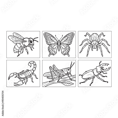 Animals Coloring Page Designs Black and White animal Illustration Outline Illustrations Collection  Animals Clipart Bundle 