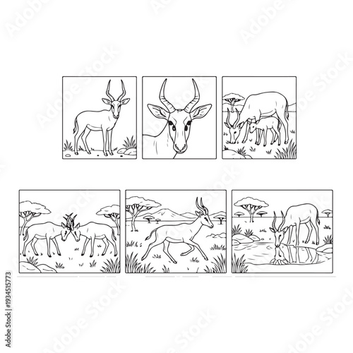 Animals Coloring Page Designs Black and White animal Illustration Outline Illustrations Collection  Animals Clipart Bundle 