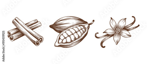 Vanilla Pod and Vanilla Flower with Chocolate Beans and Cinnamon, Hand-Drawn Engraving Style Vector Illustrations for Culinary, Baking, and Food Design.