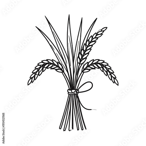 Hand-drawn illustration of a bundled wheat stalks tied with ribbon, viewed from a frontal perspective, simple line art on plain background, emphasizing rustic elegance