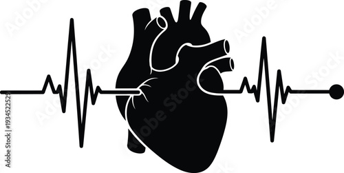 Black human heart silhouette with electrocardiogram lines on white anatomy medical