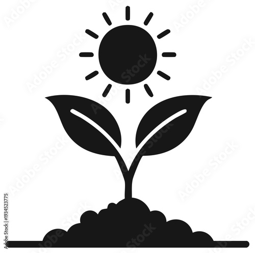 Plant seedling sprouting from soil with two leaves under a shining sun, illustrating natural growth